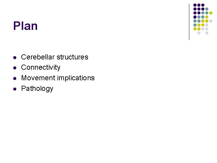 Plan l l Cerebellar structures Connectivity Movement implications Pathology 