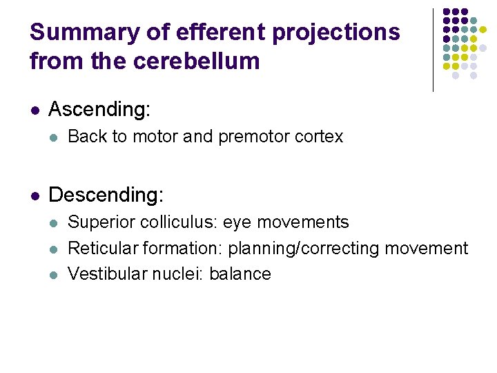 Summary of efferent projections from the cerebellum l Ascending: l l Back to motor