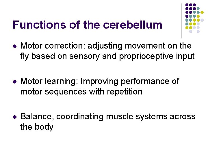 Functions of the cerebellum l Motor correction: adjusting movement on the fly based on