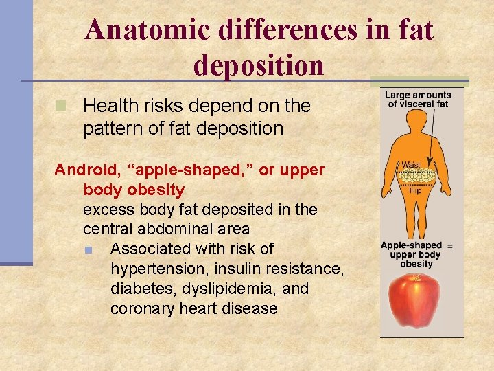 Anatomic differences in fat deposition n Health risks depend on the pattern of fat