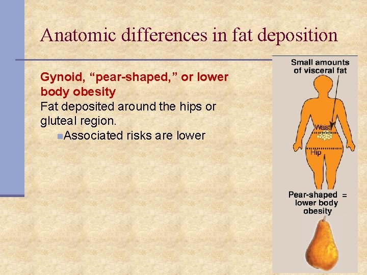 Anatomic differences in fat deposition Gynoid, “pear-shaped, ” or lower body obesity Fat deposited