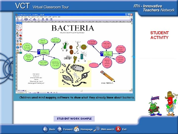 Bacteria STUDENT ACTIVITY STUDENT WORK SAMPLE 