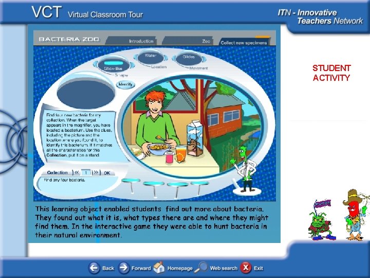 Bacteria STUDENT ACTIVITY 
