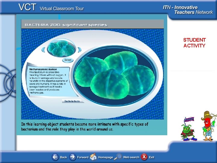 Bacteria STUDENT ACTIVITY 