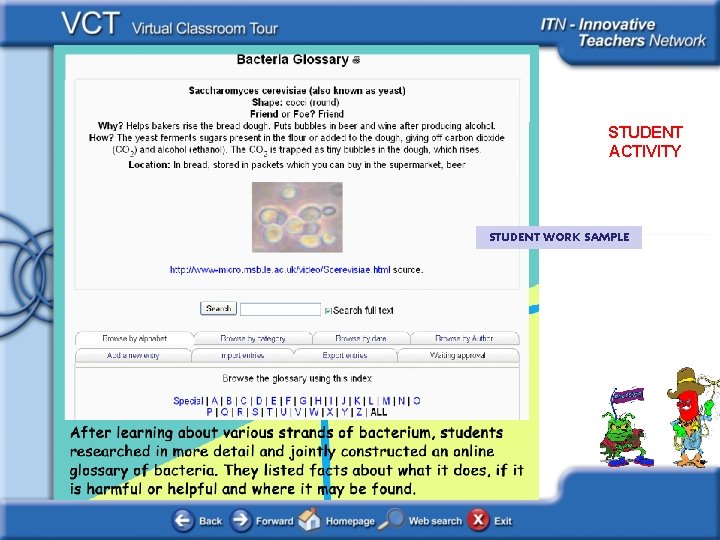 Bacteria STUDENT ACTIVITY STUDENT WORK SAMPLE 