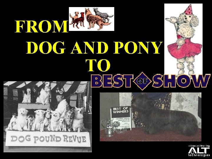 FROM DOG AND PONY TO 