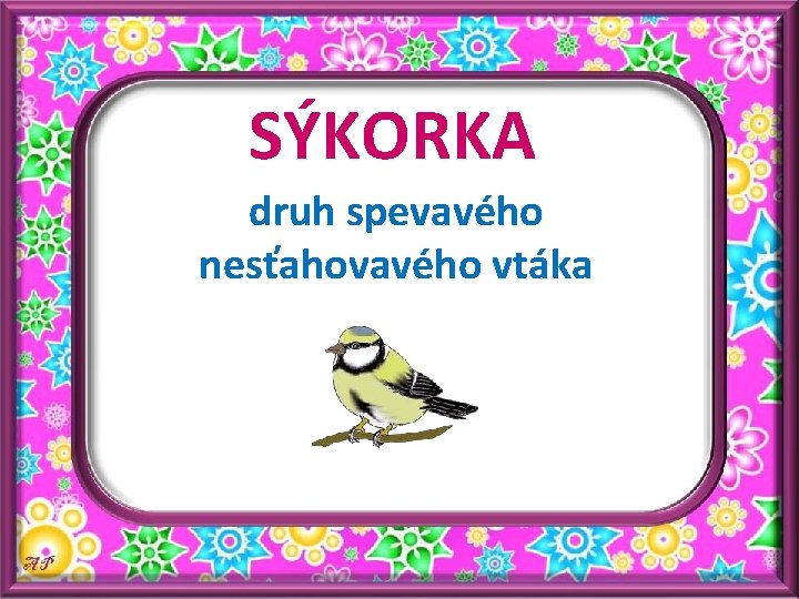 SÝKORKA druh spevavého nesťahovavého vtáka 