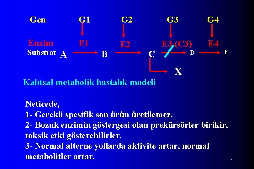 Gen G 1 G 2 Enzim E 1 E 2 Substrat A B G