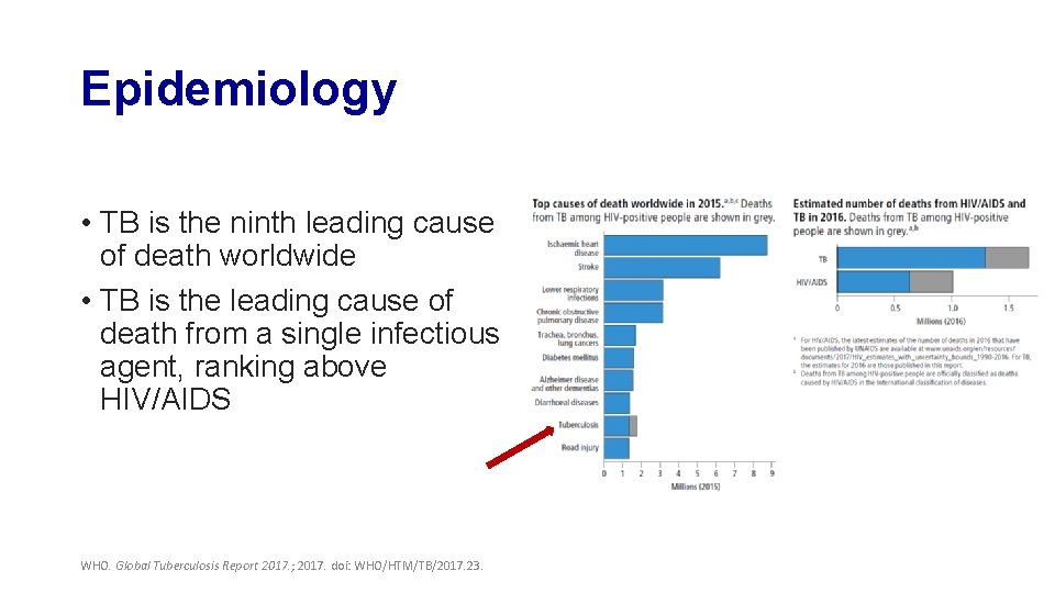 Epidemiology • TB is the ninth leading cause of death worldwide • TB is