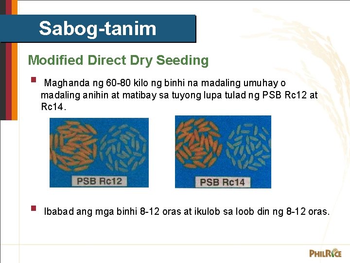 Sabog-tanim Modified Direct Dry Seeding § § Maghanda ng 60 -80 kilo ng binhi
