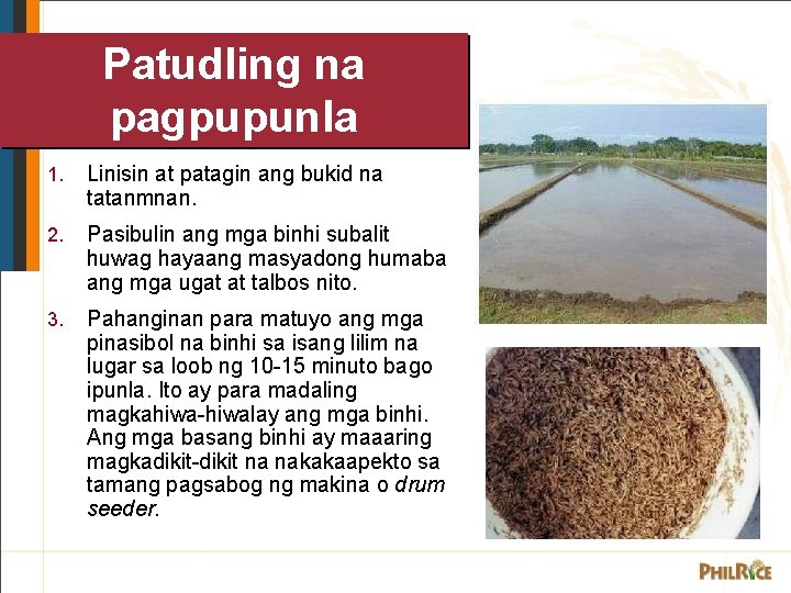 Patudling na pagpupunla Drum seeding 1. Linisin at patagin ang bukid na tatanmnan. 2. Patudling na pagpupunla Drum seeding 1. Linisin at patagin ang bukid na tatanmnan. 2.