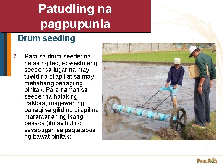 Patudling na pagpupunla Drum seeding 7. Para sa drum seeder na hatak ng tao, Patudling na pagpupunla Drum seeding 7. Para sa drum seeder na hatak ng tao,