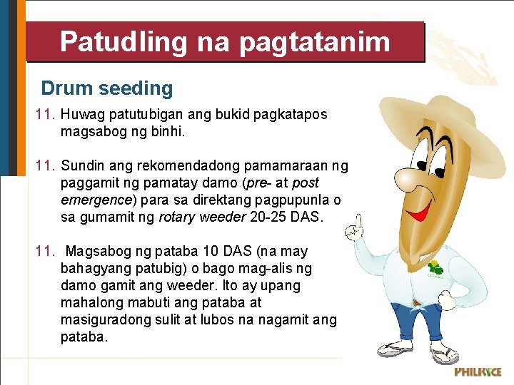 Patudling na pagtatanim Drum seeding 11. Huwag patutubigan ang bukid pagkatapos magsabog ng binhi. Patudling na pagtatanim Drum seeding 11. Huwag patutubigan ang bukid pagkatapos magsabog ng binhi.