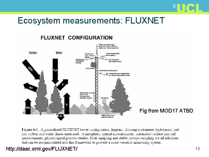 Ecosystem measurements: FLUXNET Fig from MOD 17 ATBD http: //daac. ornl. gov/FLUXNET/ 13 