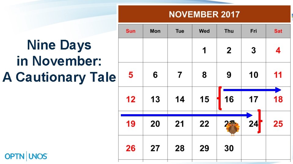 Nine Days in November: A Cautionary Tale 7 