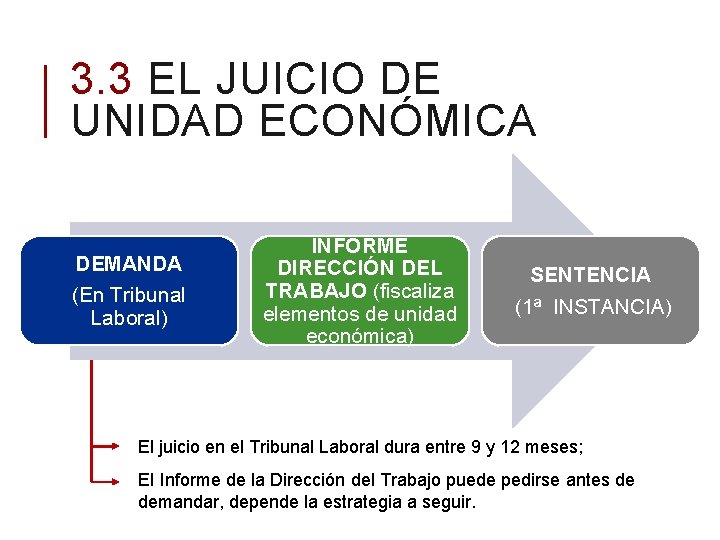 3. 3 EL JUICIO DE UNIDAD ECONÓMICA 0 DEMANDA 15 (En Tribunal Laboral) INFORME