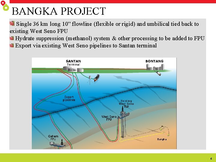 BANGKA PROJECT Single 36 km long 10” flowline (flexible or rigid) and umbilical tied