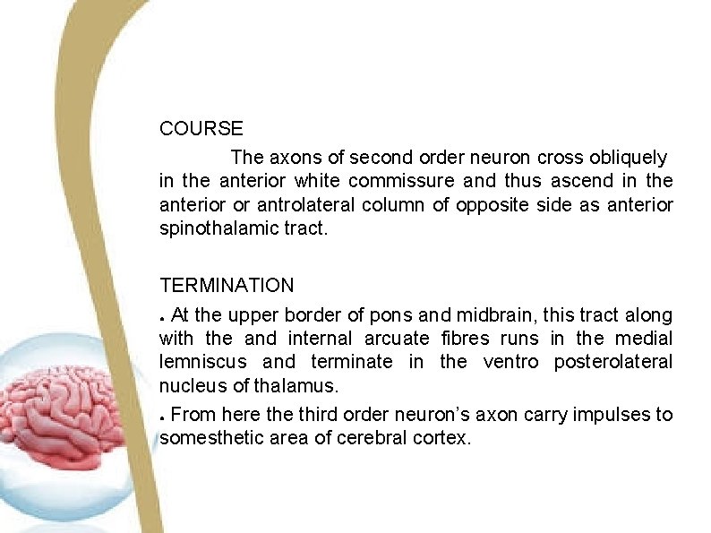 COURSE The axons of second order neuron cross obliquely in the anterior white commissure