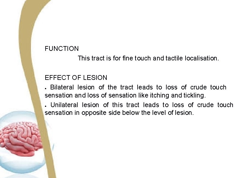 FUNCTION This tract is for fine touch and tactile localisation. EFFECT OF LESION ● FUNCTION This tract is for fine touch and tactile localisation. EFFECT OF LESION ●