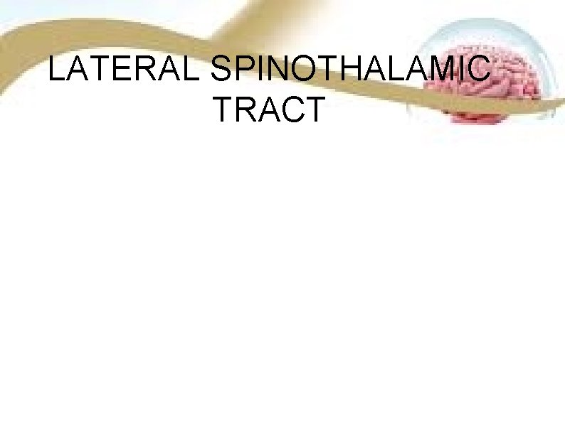 LATERAL SPINOTHALAMIC TRACT LATERAL SPINOTHALAMIC TRACT