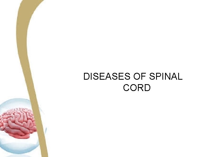 DISEASES OF SPINAL CORD DISEASES OF SPINAL CORD