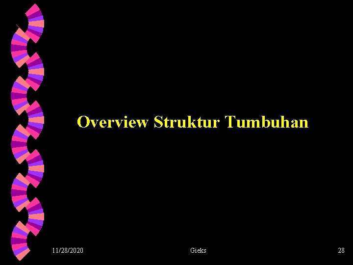 Overview Struktur Tumbuhan 11/28/2020 Gieks 28 