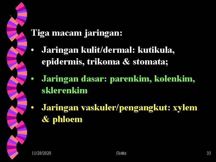 Tiga macam jaringan: • Jaringan kulit/dermal: kutikula, epidermis, trikoma & stomata; • Jaringan dasar: