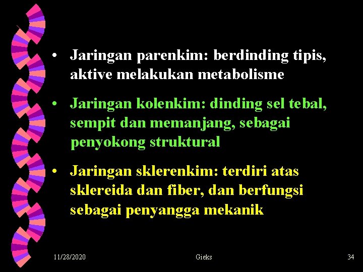  • Jaringan parenkim: berdinding tipis, aktive melakukan metabolisme • Jaringan kolenkim: dinding sel