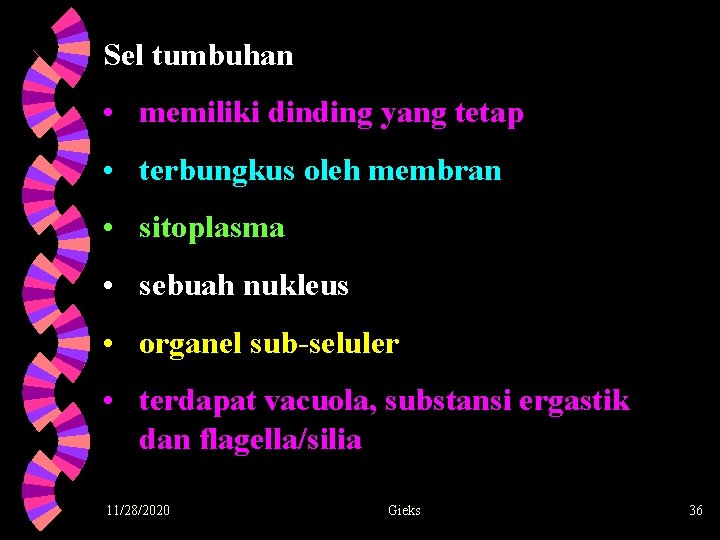 Sel tumbuhan • memiliki dinding yang tetap • terbungkus oleh membran • sitoplasma •