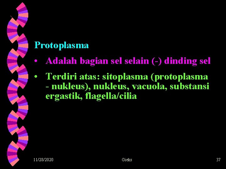 Protoplasma • Adalah bagian selain (-) dinding sel • Terdiri atas: sitoplasma (protoplasma -