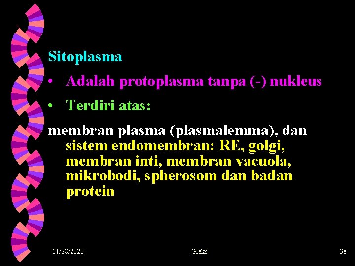 Sitoplasma • Adalah protoplasma tanpa (-) nukleus • Terdiri atas: membran plasma (plasmalemma), dan