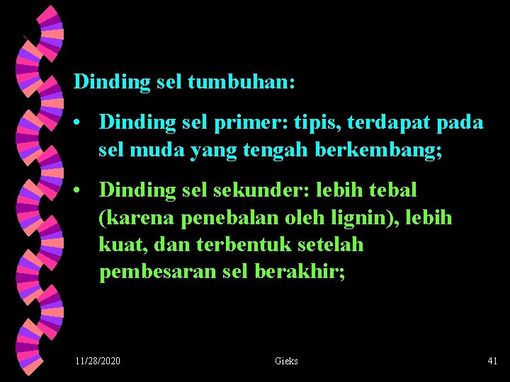 Dinding sel tumbuhan: • Dinding sel primer: tipis, terdapat pada sel muda yang tengah