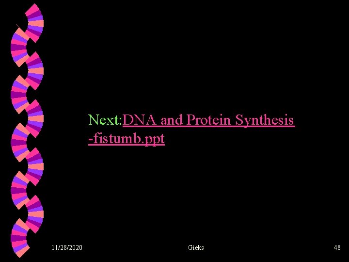 Next: DNA and Protein Synthesis -fistumb. ppt 11/28/2020 Gieks 48 