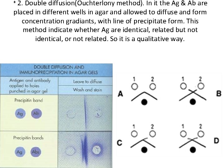 * 2. Double diffusion(Ouchterlony method). In it the Ag & Ab are placed in