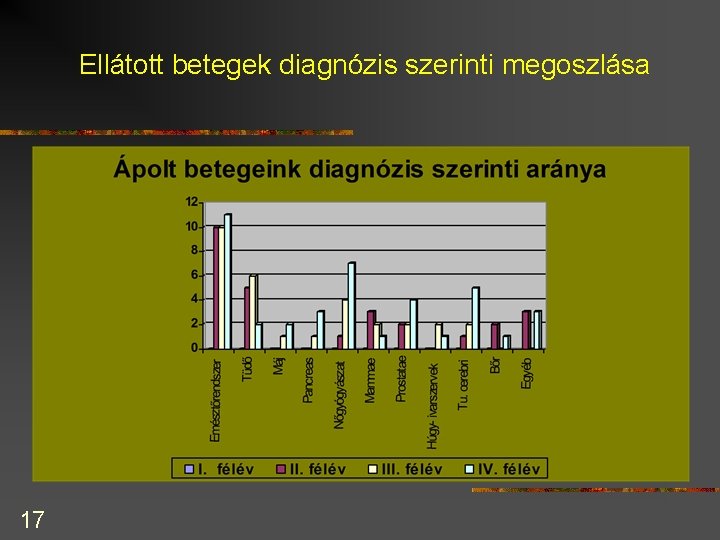 Ellátott betegek diagnózis szerinti megoszlása 17 