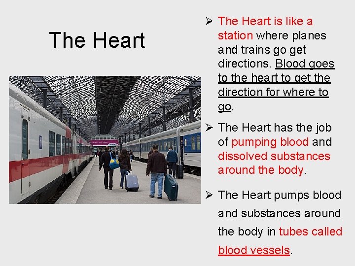 The Heart Ø The Heart is like a station where planes and trains go