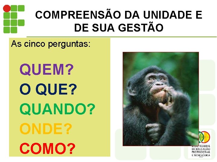 COMPREENSÃO DA UNIDADE E DE SUA GESTÃO As cinco perguntas: QUEM? O QUE? QUANDO?