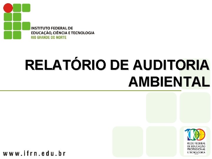 RELATÓRIO DE AUDITORIA AMBIENTAL 