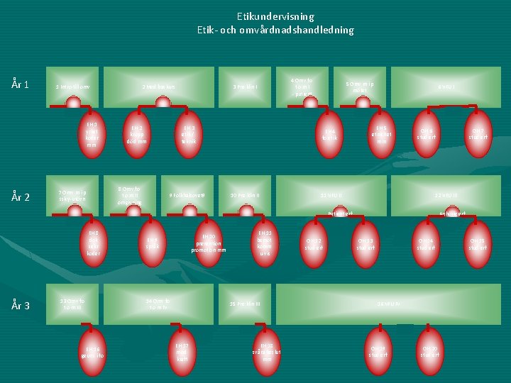 Etikundervisning Etik- och omvårdnadshandledning År 1 1 Intro till omv EH 1 yrket koder