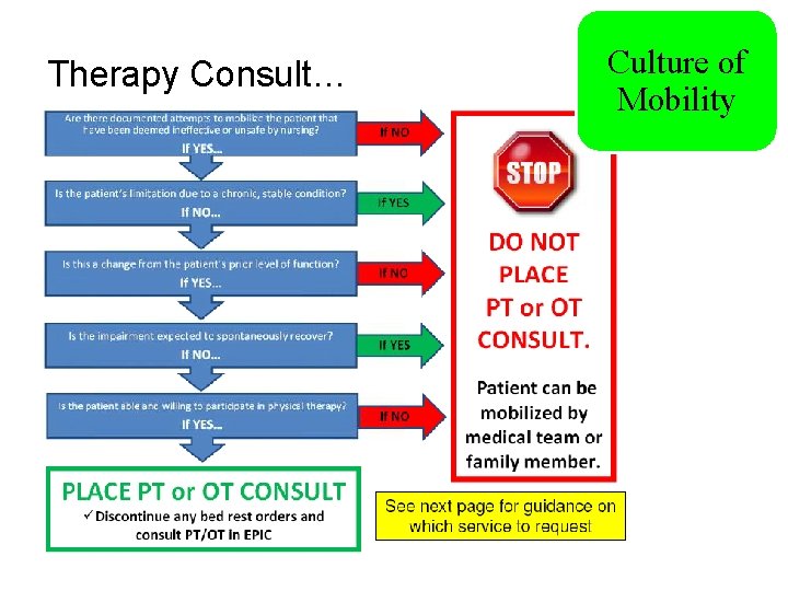 Therapy Consult… Culture of Mobility 