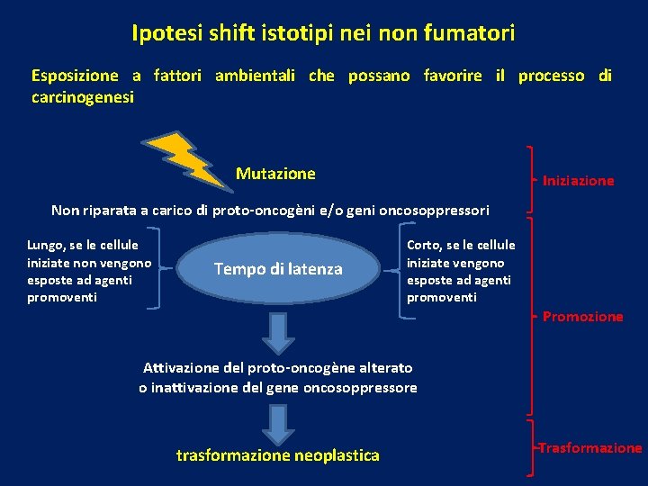 Ipotesi shift istotipi nei non fumatori Esposizione a fattori ambientali che possano favorire il