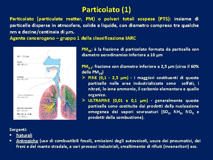 Particolato (1) Particolato (particulate matter, PM) o polveri totali sospese (PTS): insieme di particelle