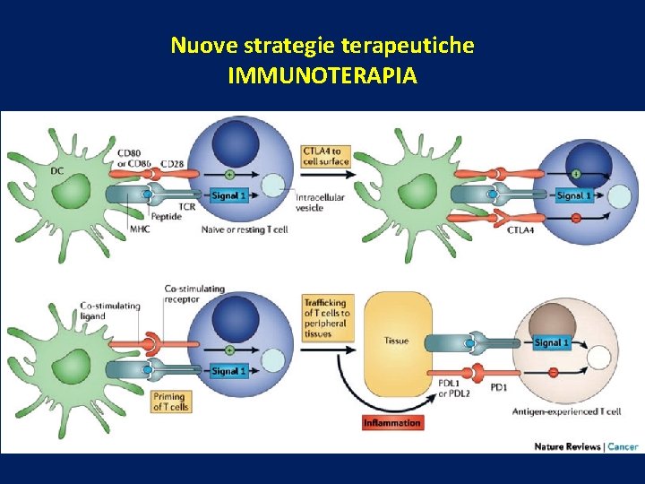 Nuove strategie terapeutiche IMMUNOTERAPIA 