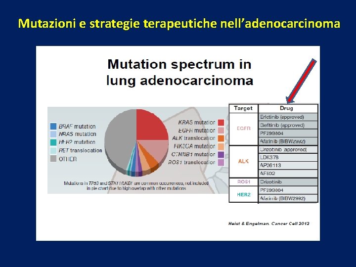 Mutazioni e strategie terapeutiche nell’adenocarcinoma 