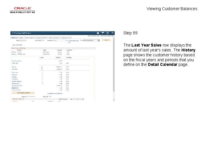 Viewing Customer Balances Step 59 The Last Year Sales row displays the amount of