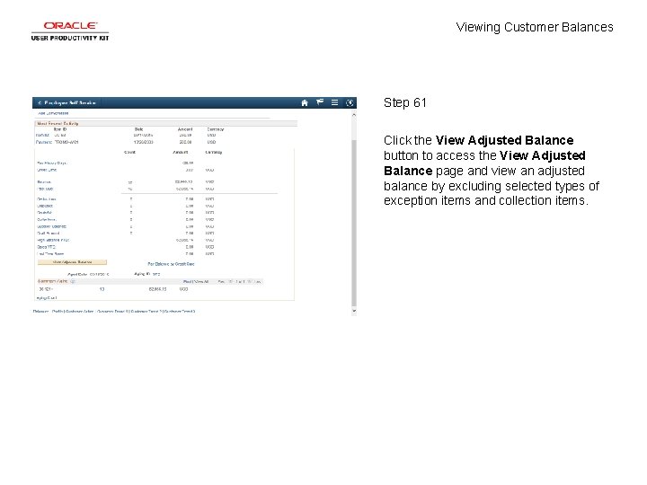 Viewing Customer Balances Step 61 Click the View Adjusted Balance button to access the