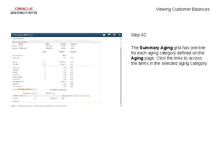 Viewing Customer Balances Step 62 The Summary Aging grid has one line for each