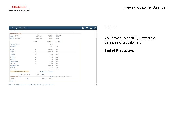 Viewing Customer Balances Step 66 You have successfully viewed the balances of a customer.