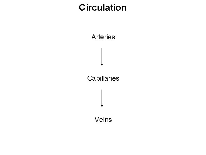 Circulation Arteries Capillaries Veins Circulation Arteries Capillaries Veins
