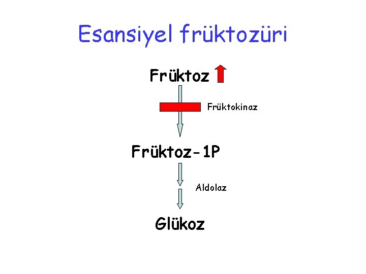 Esansiyel früktozüri Früktoz Früktokinaz Früktoz-1 P Aldolaz Glükoz 